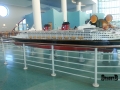 Disney Cruise