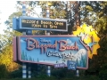 Disney's