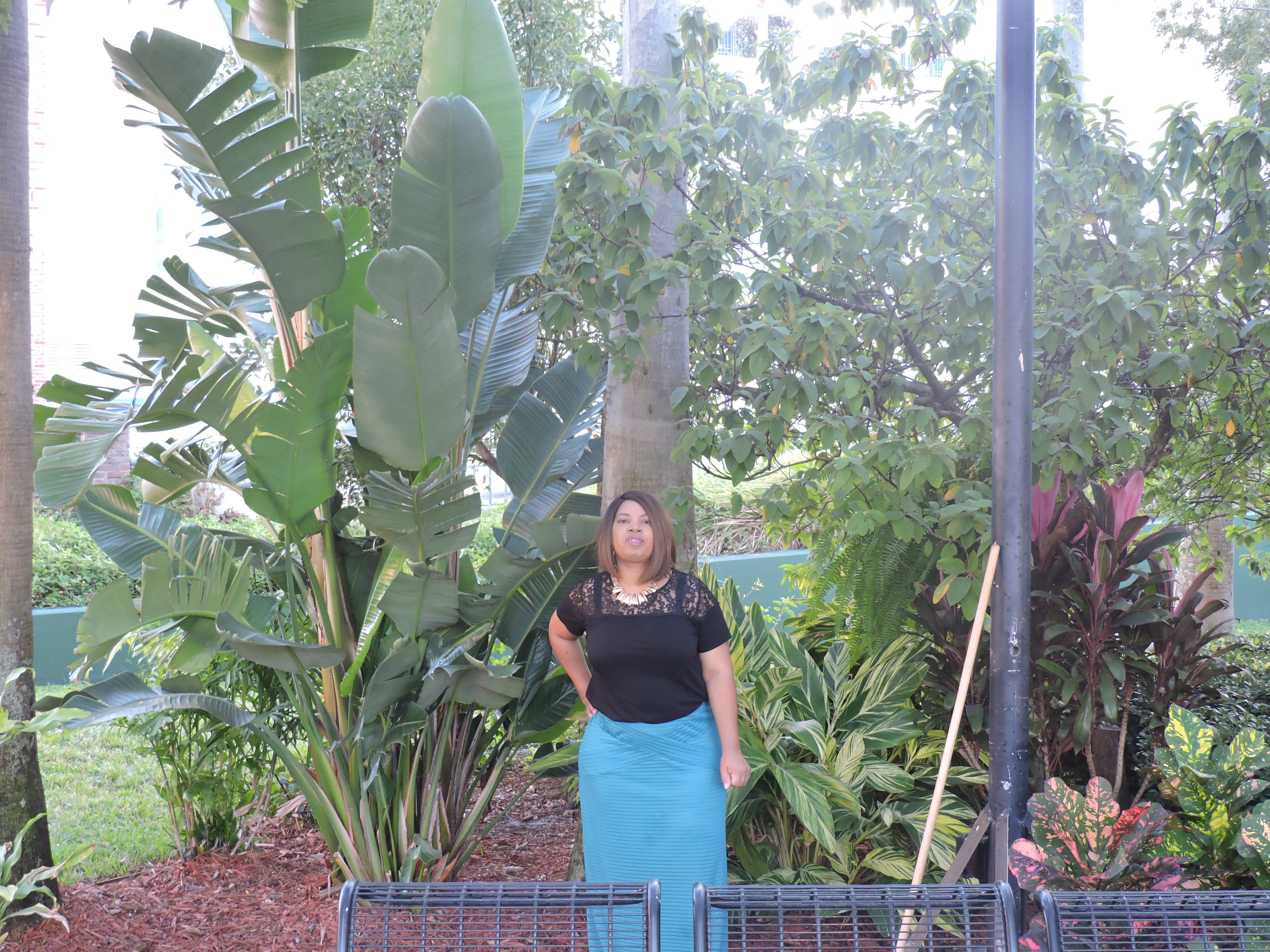 What Did You Do In Tampa, Florida
